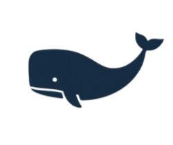 Whale Outlet
